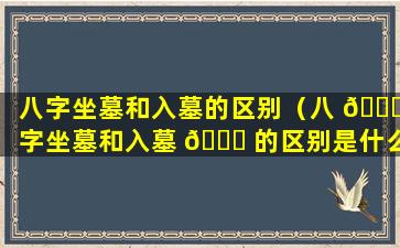 八字坐墓和入墓的区别（八 🐛 字坐墓和入墓 🐅 的区别是什么）